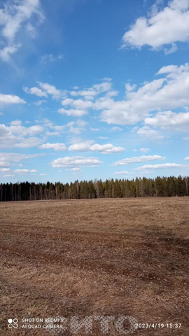 земля д Заречка Заречка фото