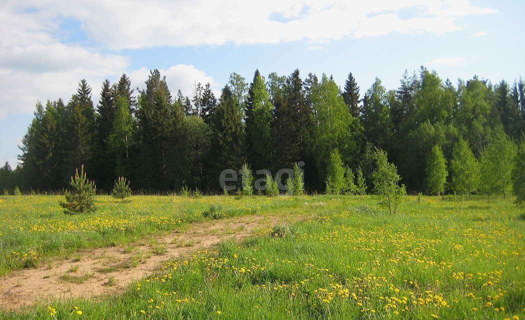 земля р-н Хабаровский с Заозерное Тополевское сельское поселение, Хабаровск фото 2