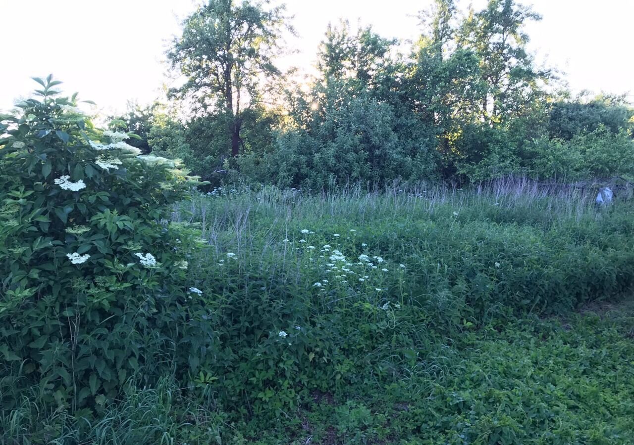 земля г Светлый п Люблино Светловский городской округ, Калининград фото 3