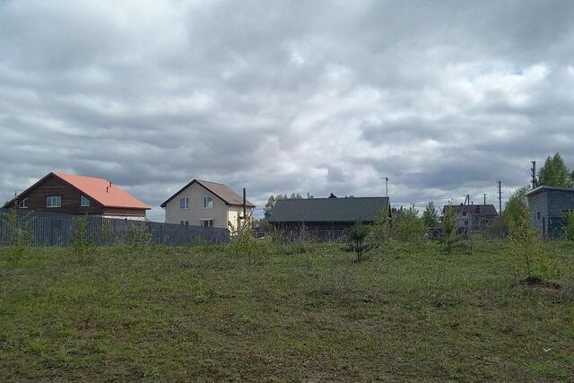 деревня Кочергино фото