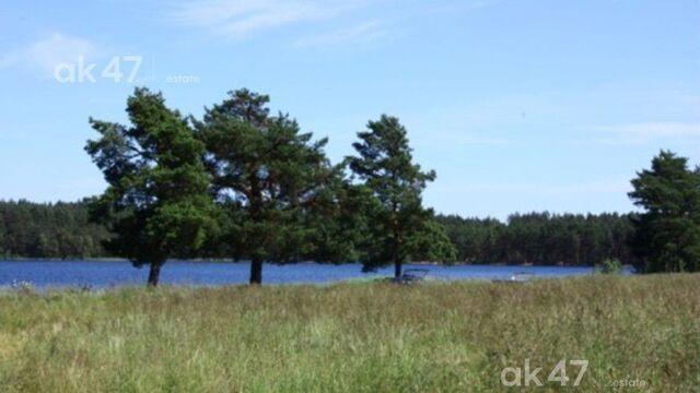 земля Верхнеустькулойское, муниципальное образование, д. Нестюковская фото земля Верхнеустькулойское, муниципальное образование, д. Нестюковская фото