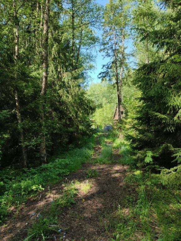 земля г Зарайск ст Железнодорожная ул, Некрасовский пгт фото 3