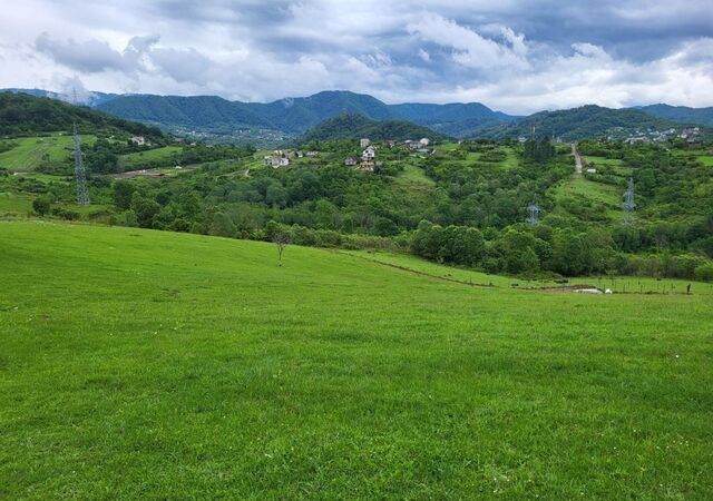 земля р-н Лазаревский фото