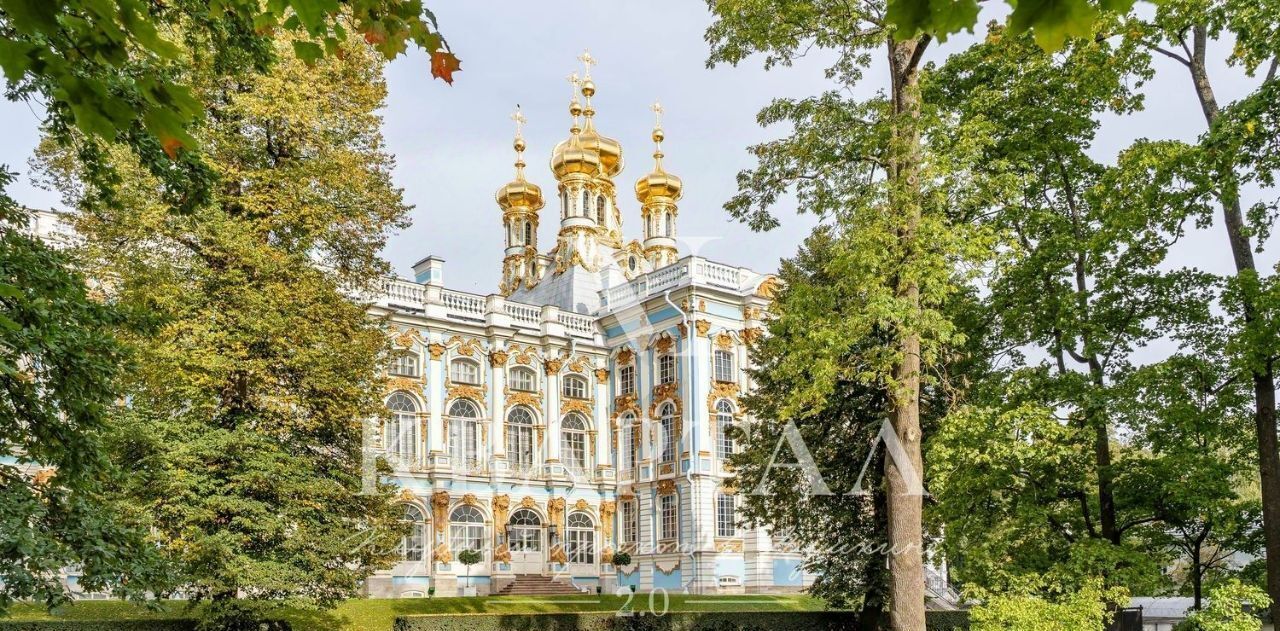 квартира г Пушкин ул Новая 20 Шушары фото 11