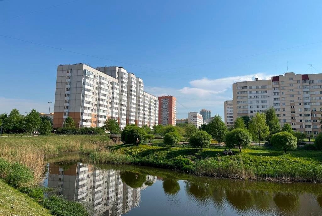 квартира г Санкт-Петербург метро Проспект Ветеранов пр-кт Ленинский 115к/2 фото 27