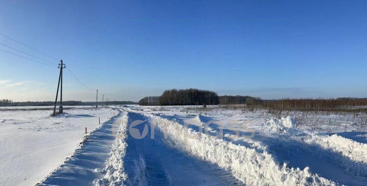 земля р-н Тюменский с Горьковка ул Сибирская фото 8