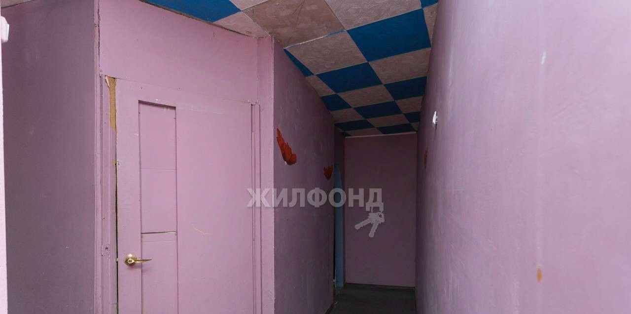 квартира г Новосибирск Берёзовая роща ул Народная 42 фото 12