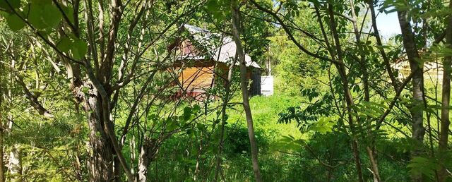 Мшинское сельское поселение, садоводческое некоммерческое товарищество Мшинское, 230, Толмачево фото