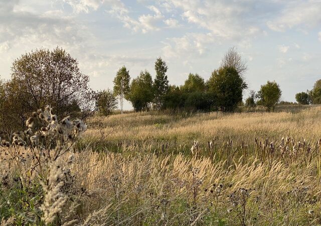 земля д Жерновка Никольское сельское поселение, Сычевка фото