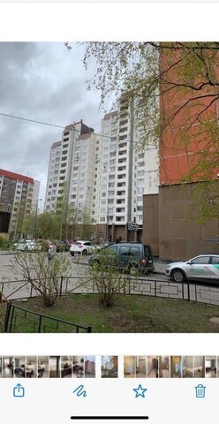 метро Проспект Просвещения пр-кт Просвещения 34 фото