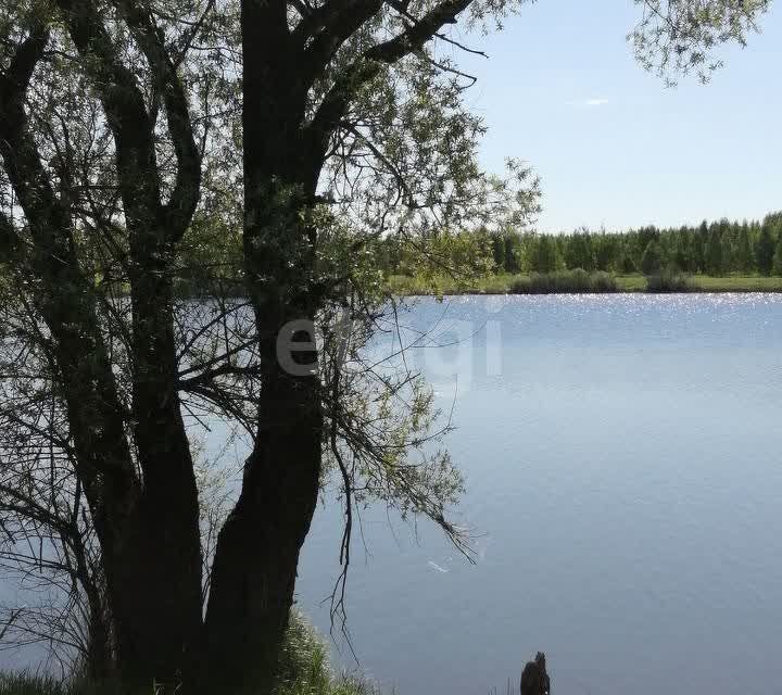 земля р-н Некрасовский деревня Яхробол фото 8