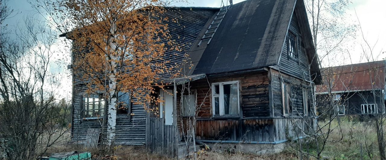 земля р-н Выборгский д Усадище Селезнёвское сельское поселение, Выборг фото 3