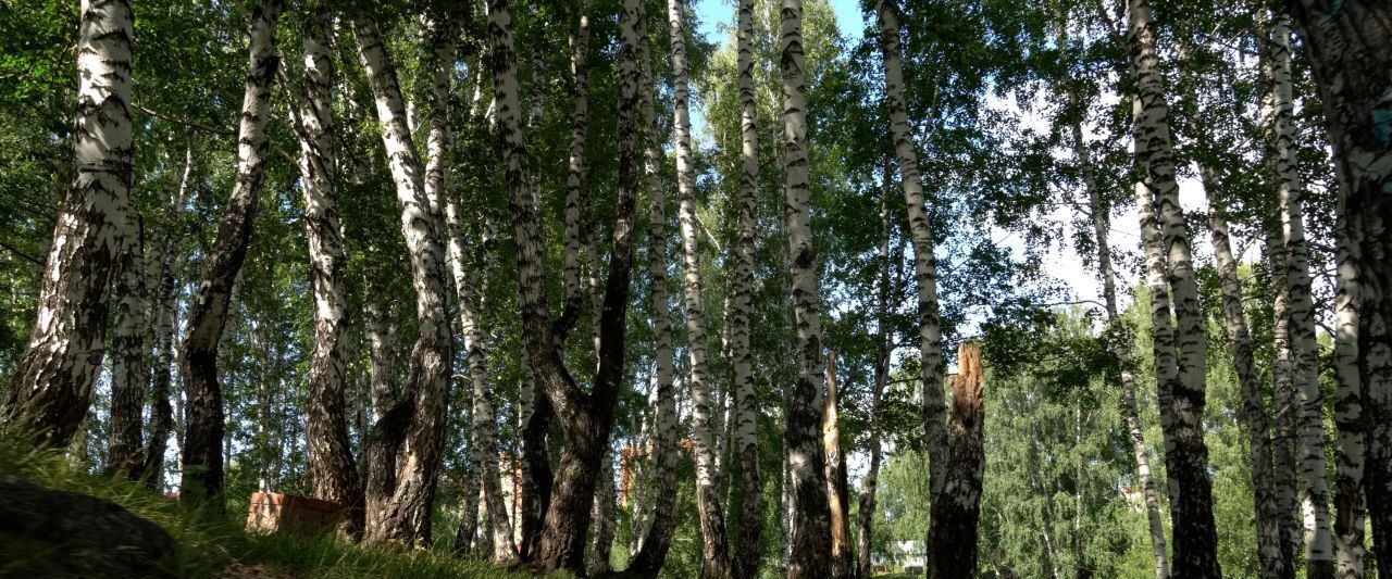 квартира г Новосибирск Заельцовская ул Лобачевского 53/2 фото 6