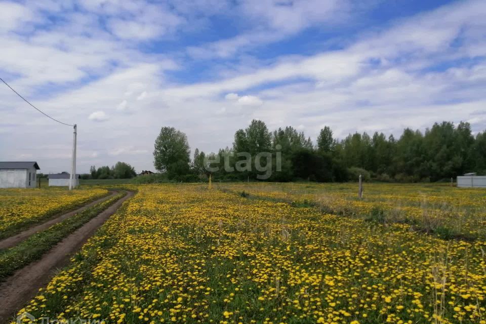 земля р-н Ишимбайский Ишеевский сельсовет фото 1