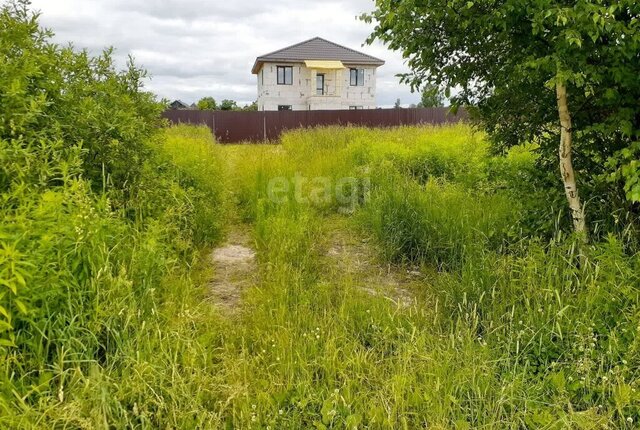 Кузнечихинское сельское поселение, деревня Игнатово фото