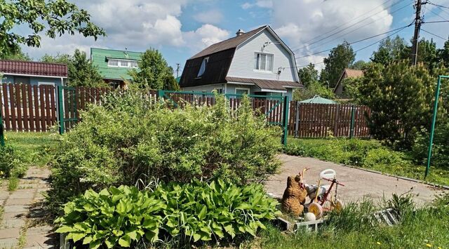 Куйвозовское сельское поселение, ручей, 86, Сосново фото