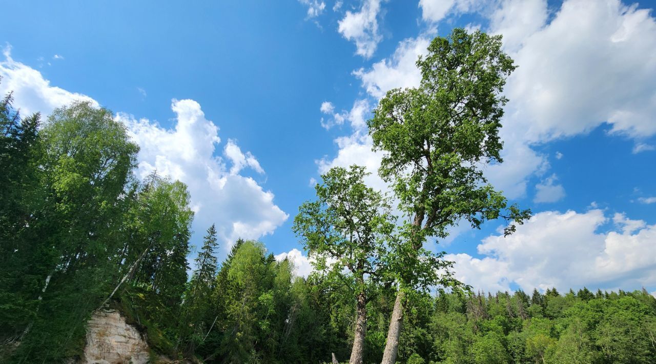 земля р-н Лужский Толмачевское городское поселение фото 12