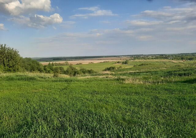 земля с Большое Свистово Рачатниковское сельское поселение, Михайлов фото