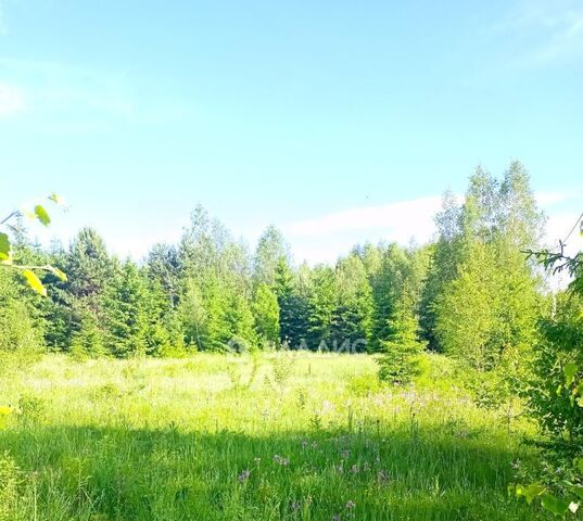 Маклино с пос фото Маклино с пос фото