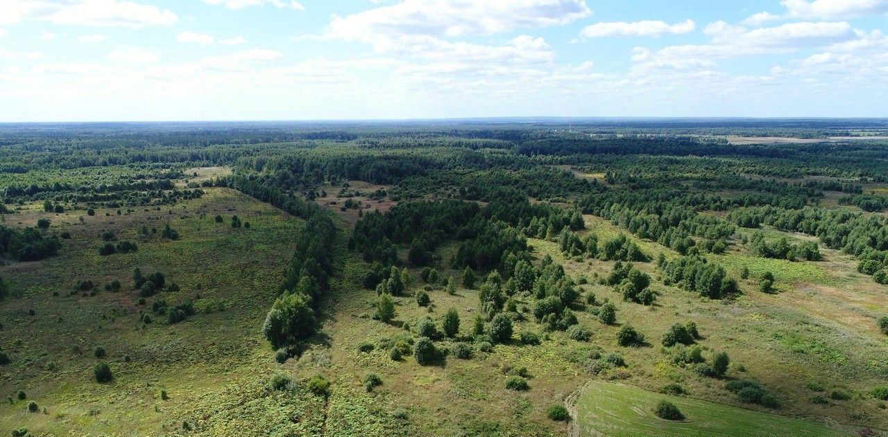 земля р-н Конаковский с Городня фото 8