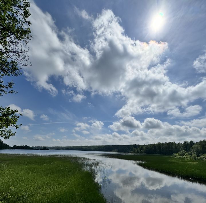 земля р-н Выборгский Приморское городское поселение фото 1