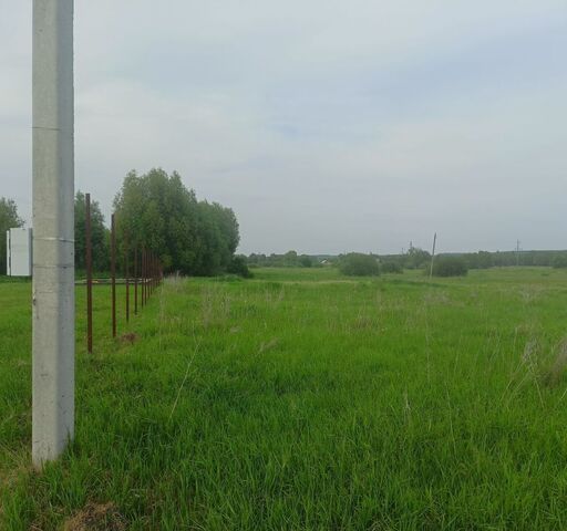 земля с Тырново Тырновское сельское поселение, Пронск фото