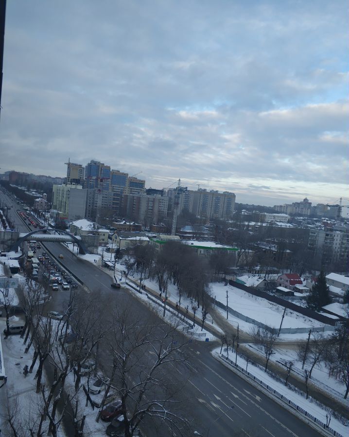 квартира г Воронеж р-н Коминтерновский пр-кт Московский 13/1 фото 3