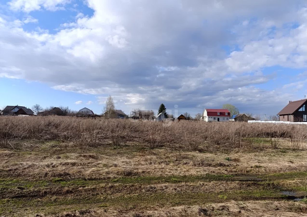 земля р-н Городецкий г Городец д. Кумохино Кумохинский сельсовет фото 10