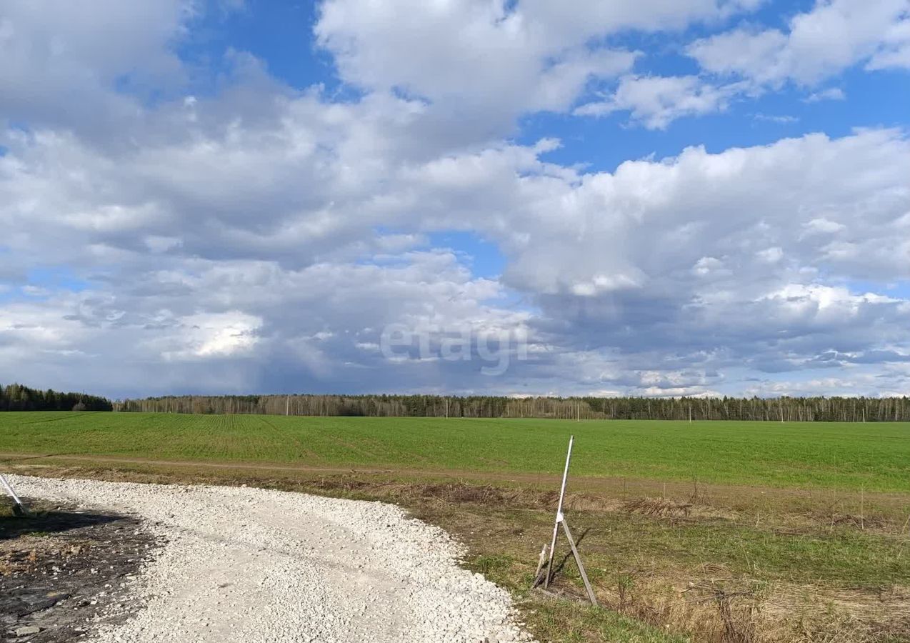 земля р-н Городецкий г Городец д. Кумохино Кумохинский сельсовет фото 19