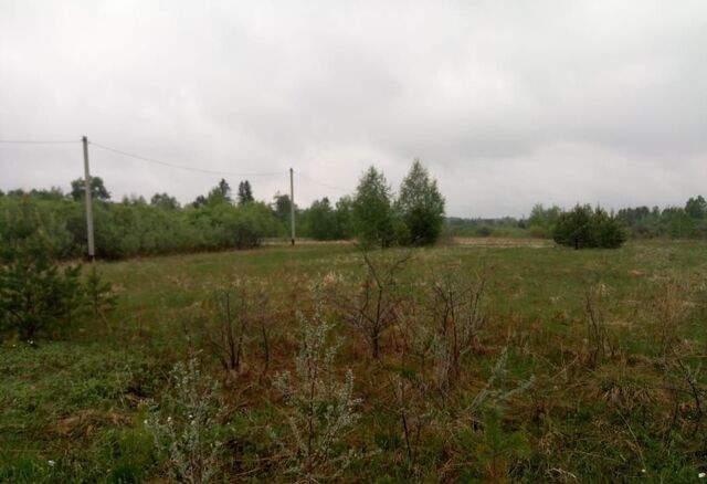 земля Смоленское муниципальное образование, огородническое товарищество Иркут, Шелехов фото