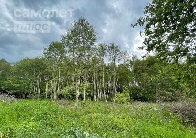 Михновское сельское поселение, Смоленск фото