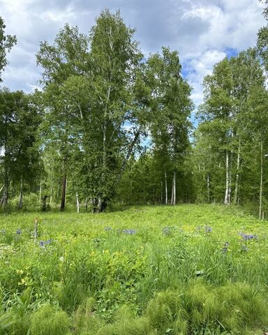 Уриковское муниципальное образование, ДНТ Славное, Иркутск фото