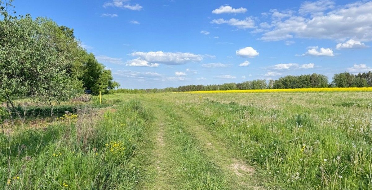 земля городской округ Луховицы д Староходыкино ул Набережная Луховицы фото 9