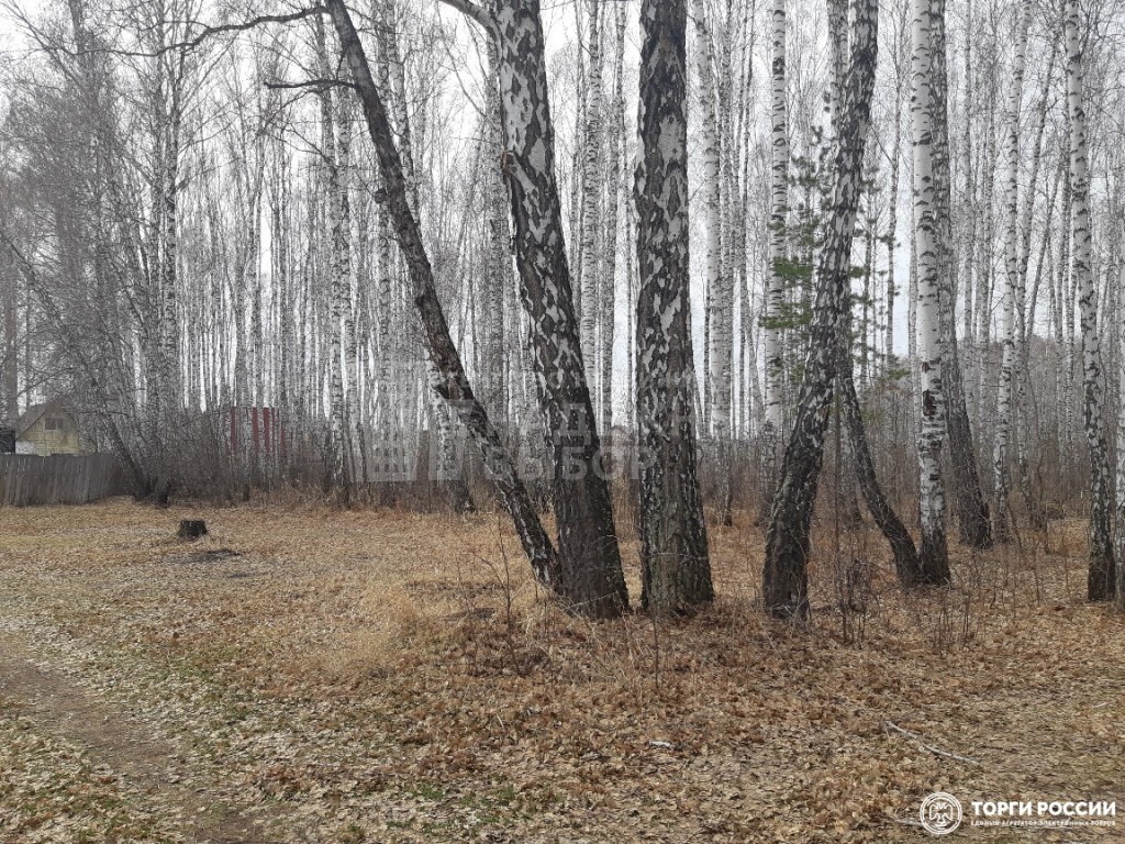 земля р-н Тюменский рп Винзили снт Искатель фото 7