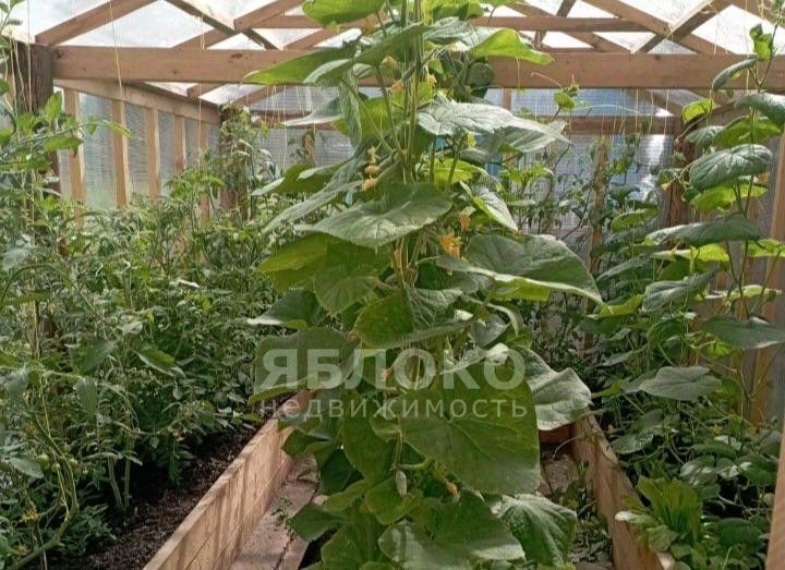 дом г Березники ул Андрея Ромашова 25 фото 6
