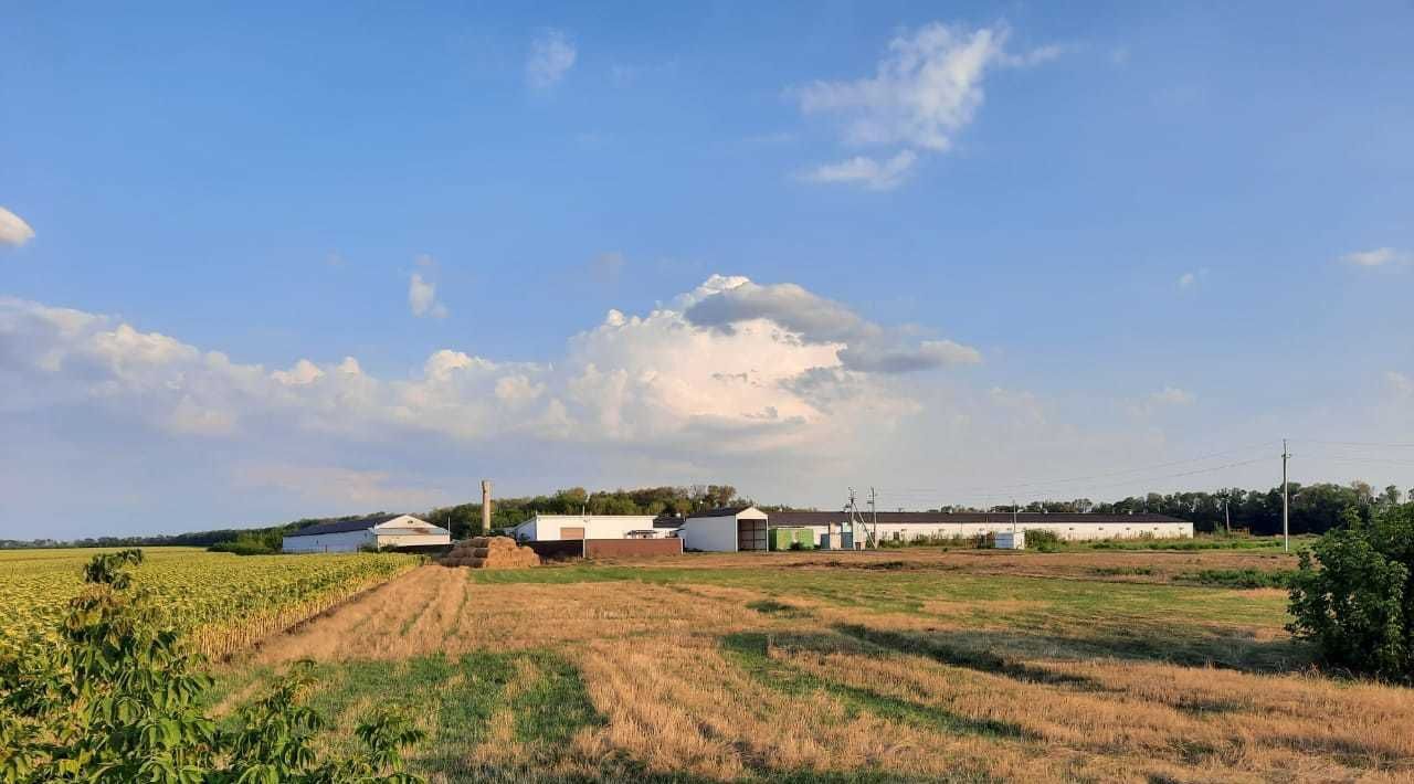 производственные, складские городской округ Шебекинский п Красное ул 40 лет Победы 10 фото 4