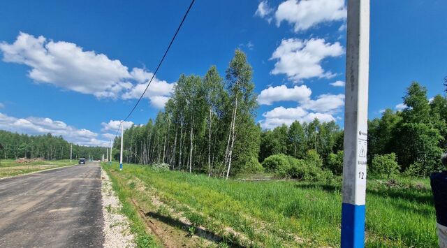 Жуковская тер., ул. Осиновая фото