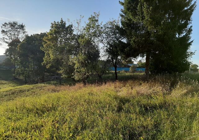 земля д Нурсола Чендемеровское сельское поселение, Сернур фото