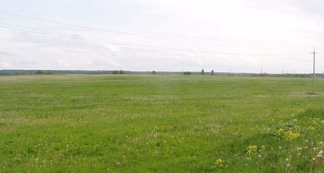 Кобяковское сельское поселение, Арск фото