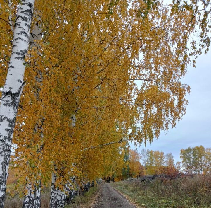 офис р-н Кармаскалинский Шаймуратовский сельсовет фото 4