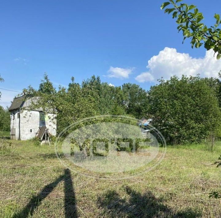 земля г Калининград р-н Ленинградский снт Мелиоратор ул Березовая роща 144 фото 4