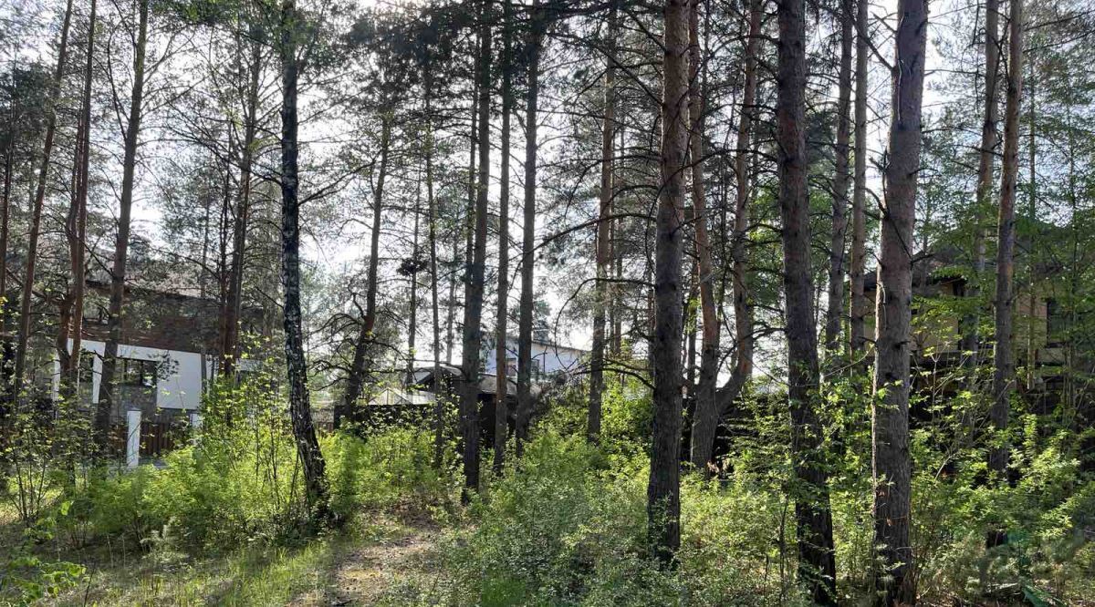 земля г Пермь р-н Мотовилихинский ул Верхне-Курьинская 13е фото 1