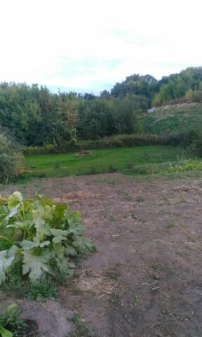 земля с Пальное ул Попово подгорье Вышгородское сельское поселение, Мурмино фото