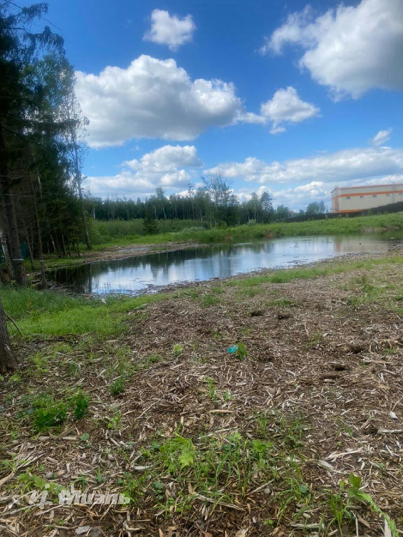 дом городской округ Солнечногорск д Радумля р-н мкр Земледелец фото 24