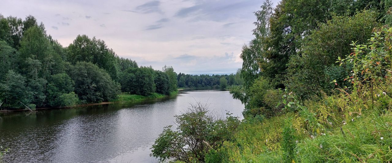 земля р-н Большесельский д Ромашино Большесельское с/пос фото 3