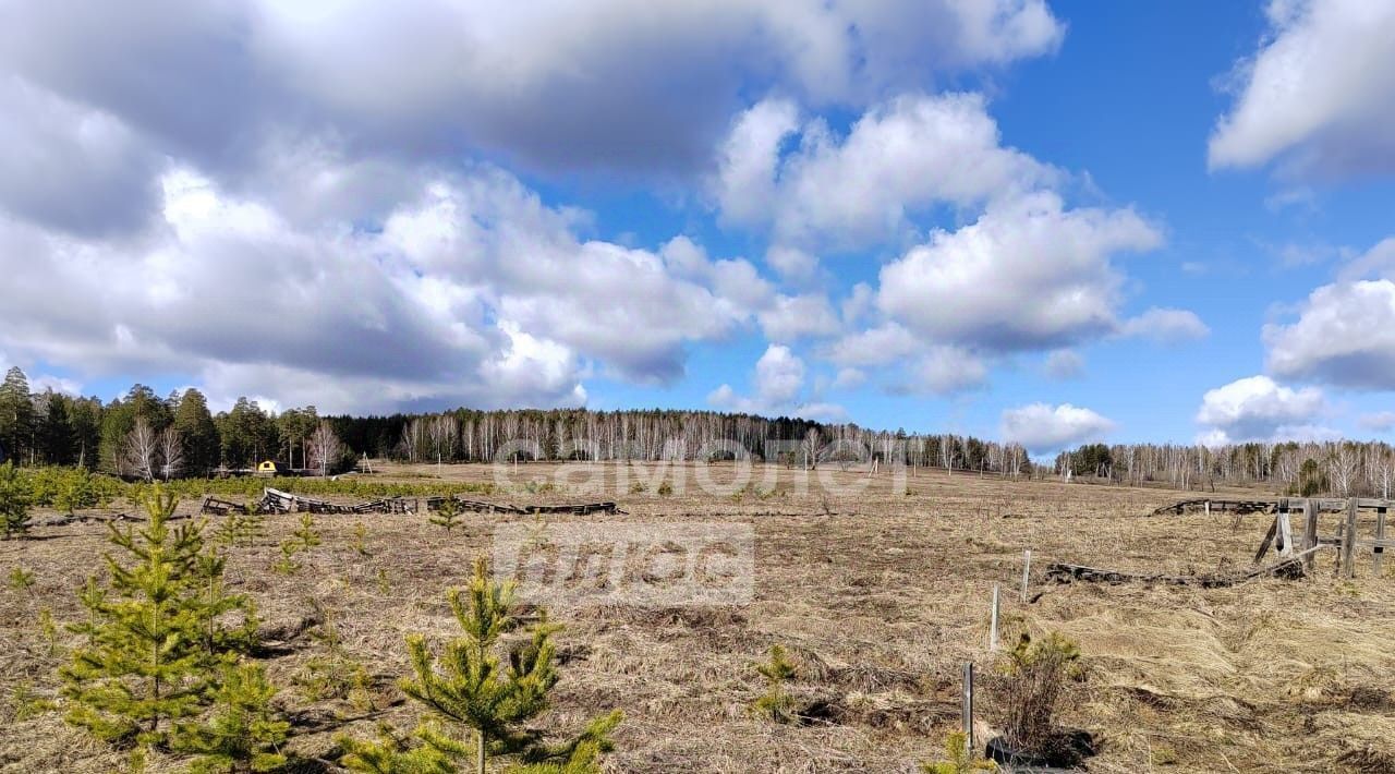 земля г Дегтярск ул Российская 12 фото 10