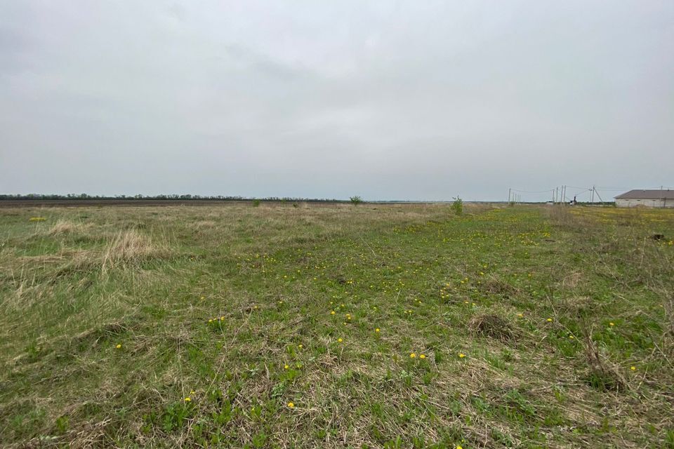 земля р-н Грязинский г Грязи ул Тихая городское поселение Грязи фото 3