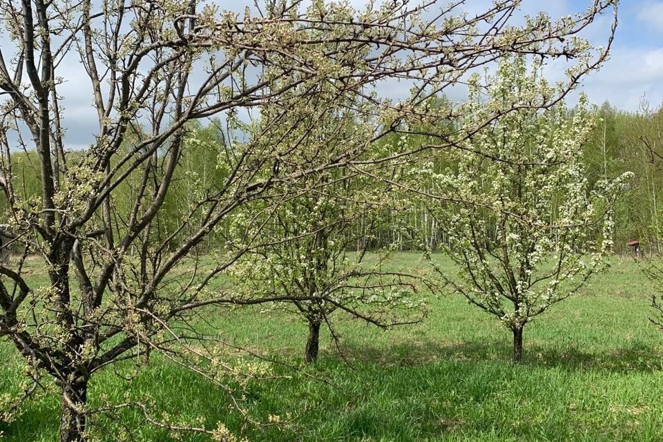 дом р-н Мценский с Спасское-Лутовиново ул Новая 30 фото 8