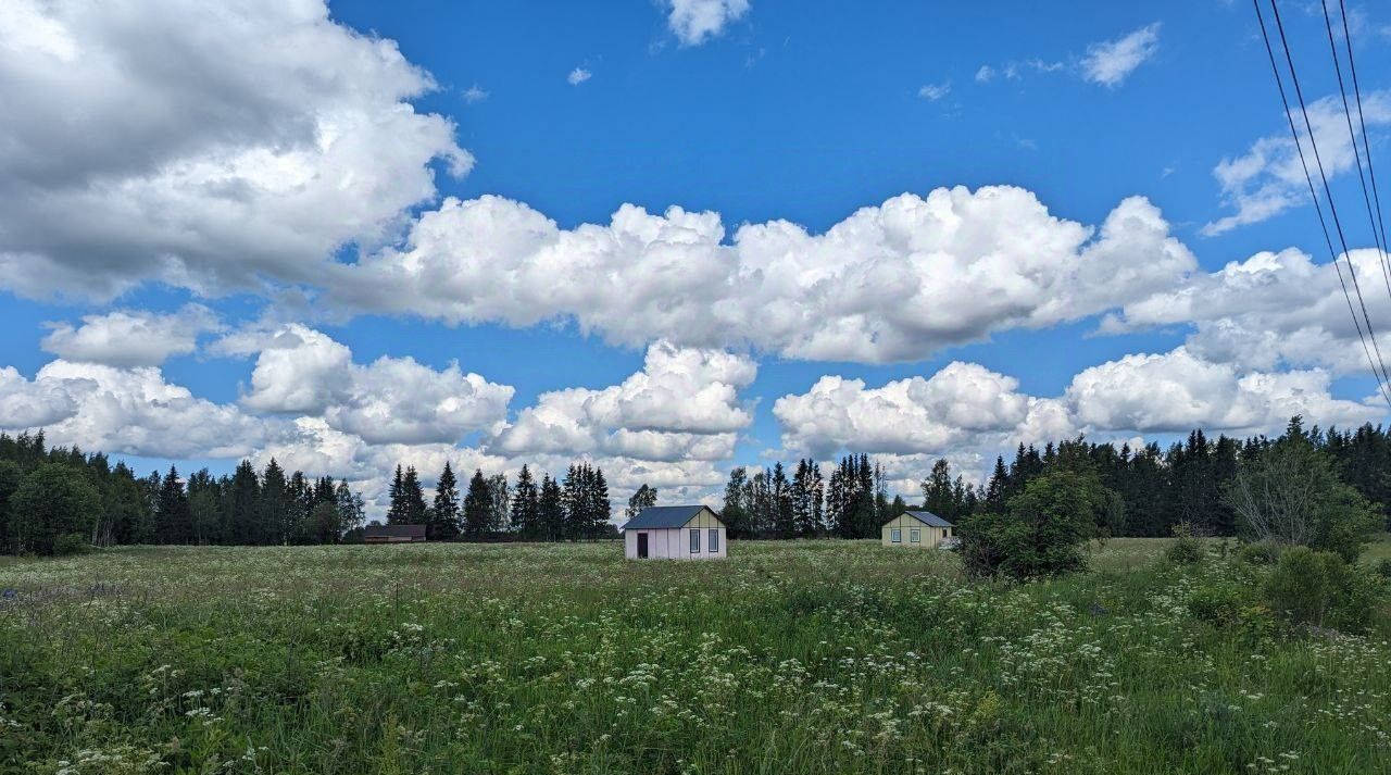 земля р-н Гатчинский с Орлино ул Луговая фото 2