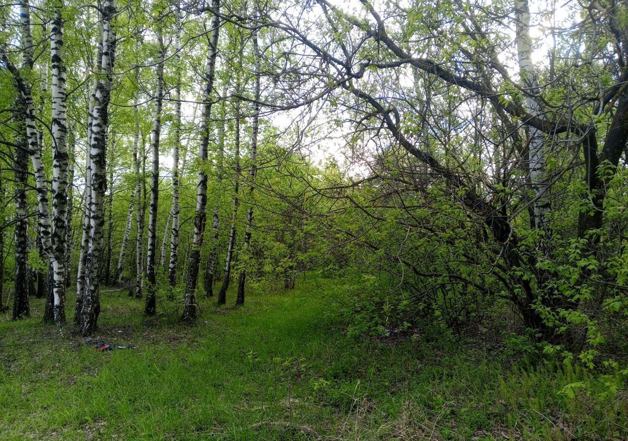 земля р-н Лысковский г Лысково М-7 Волга, 523-й километр фото 3